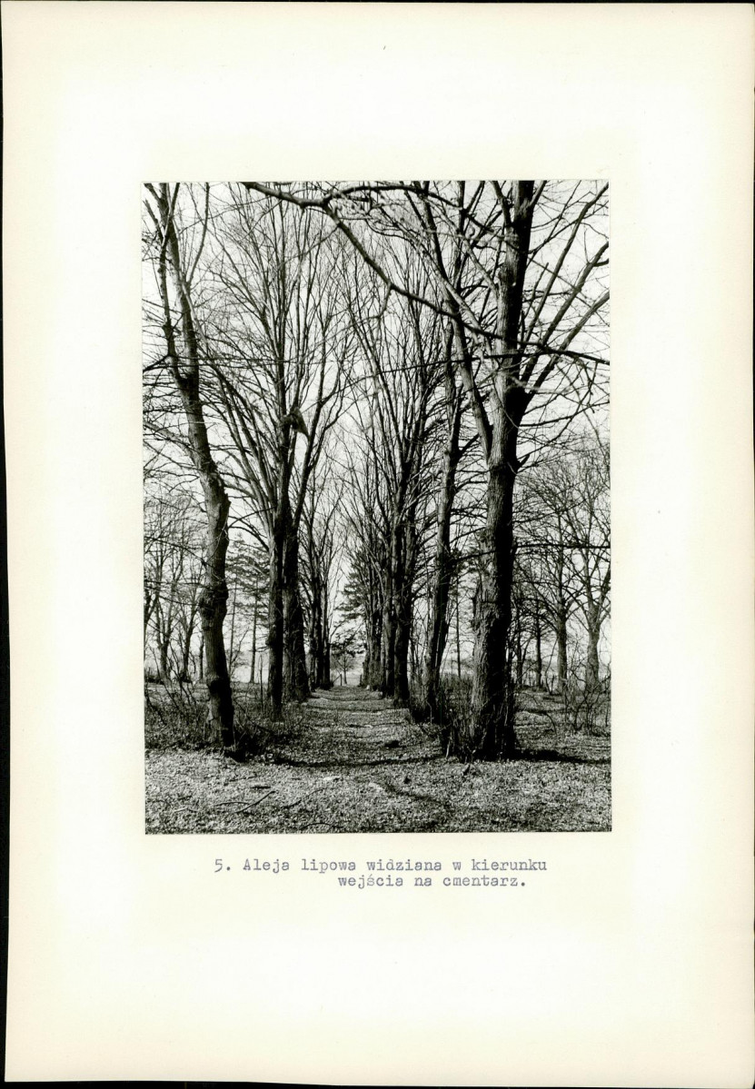 Karta cmentarza, skan nr 6