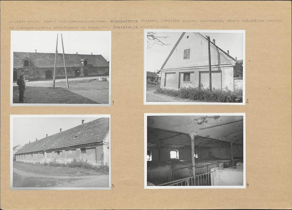 Karta biała, skan nr 17