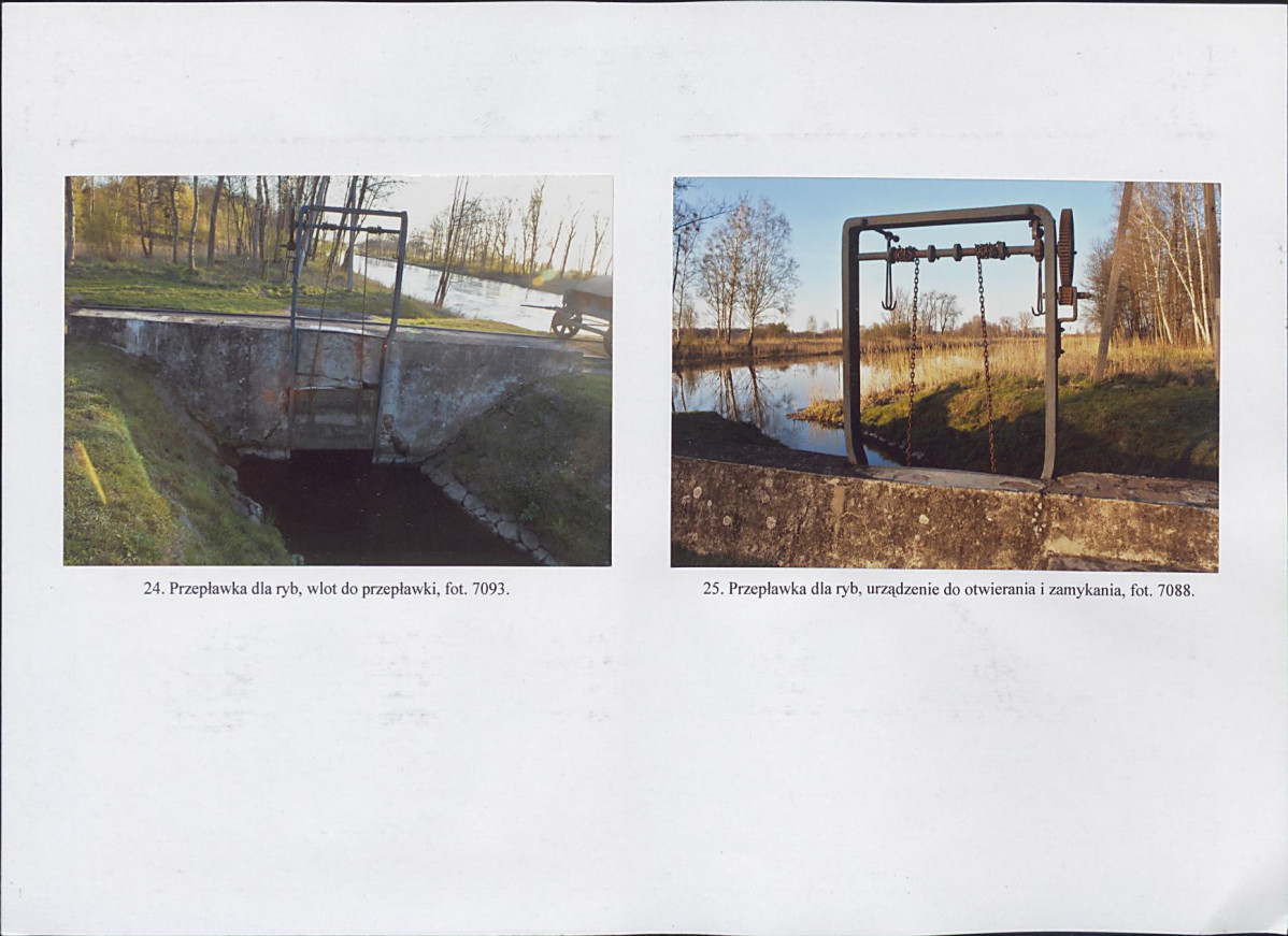 Karta biała, skan nr 14