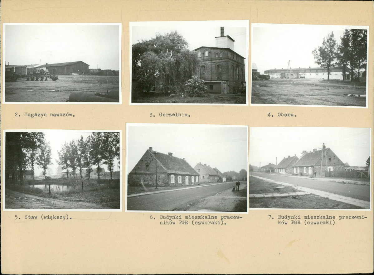 Karta biała, skan nr 10
