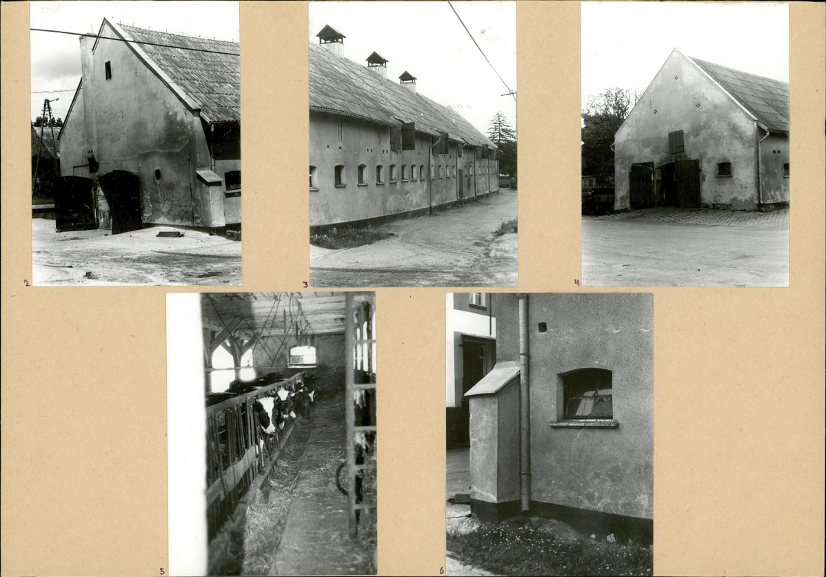Karta biała, skan nr 6