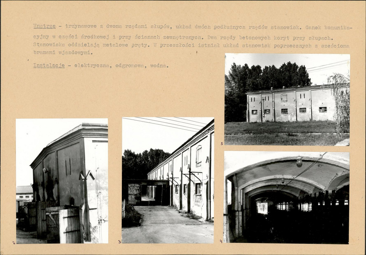 Karta biała, skan nr 6