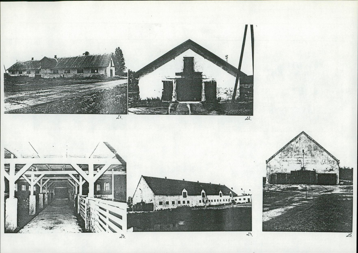 Karta biała, skan nr 12