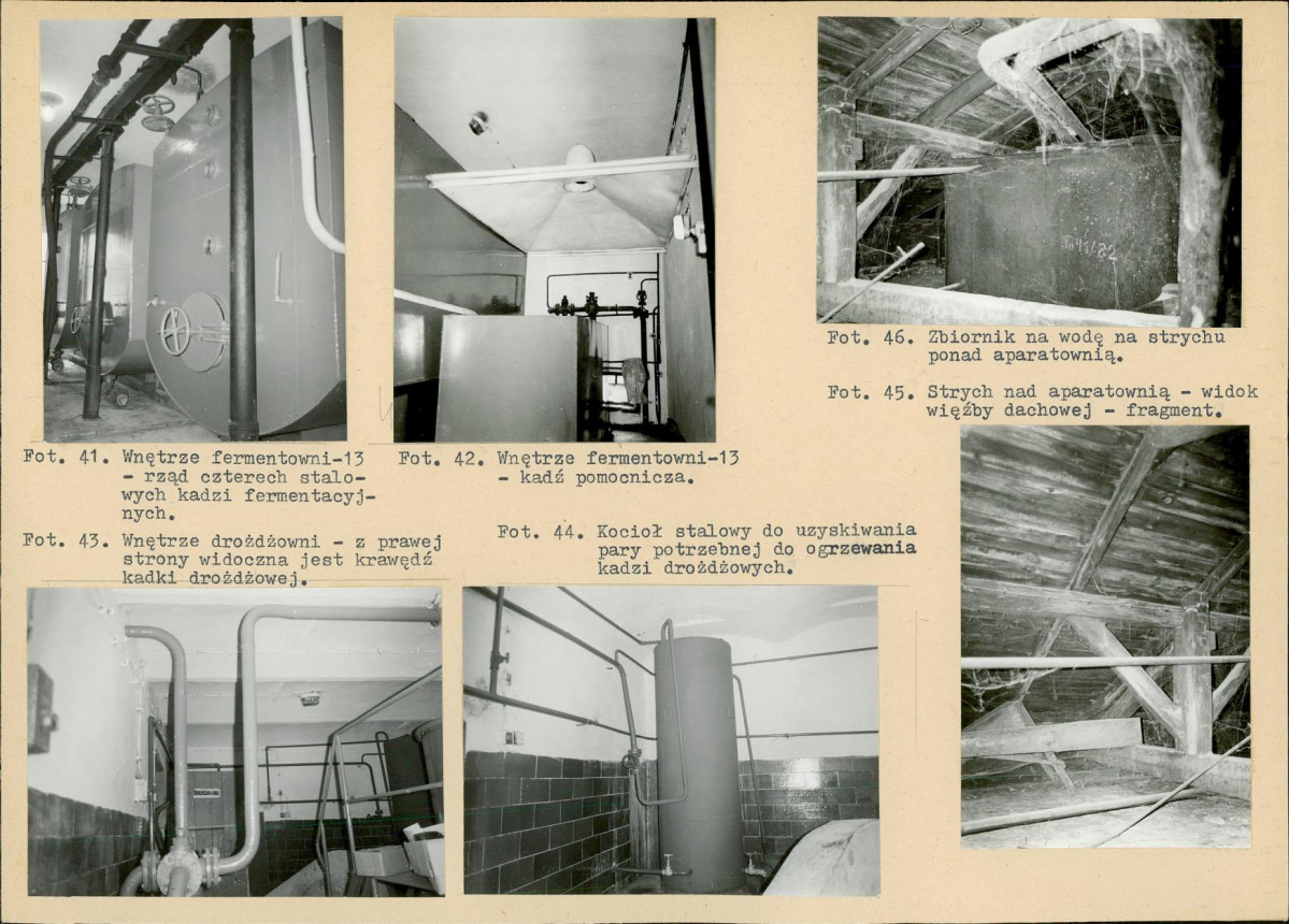 Karta biała, skan nr 20