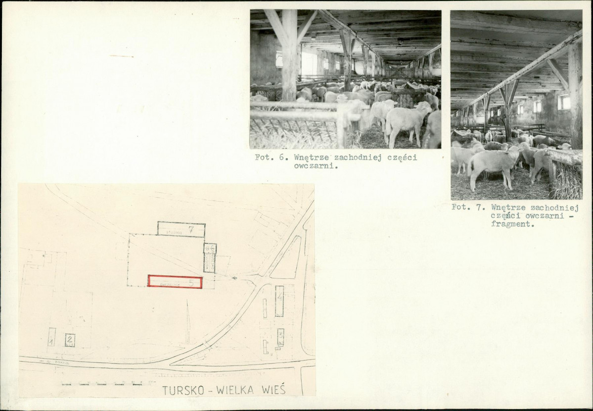 Karta biała, skan nr 6