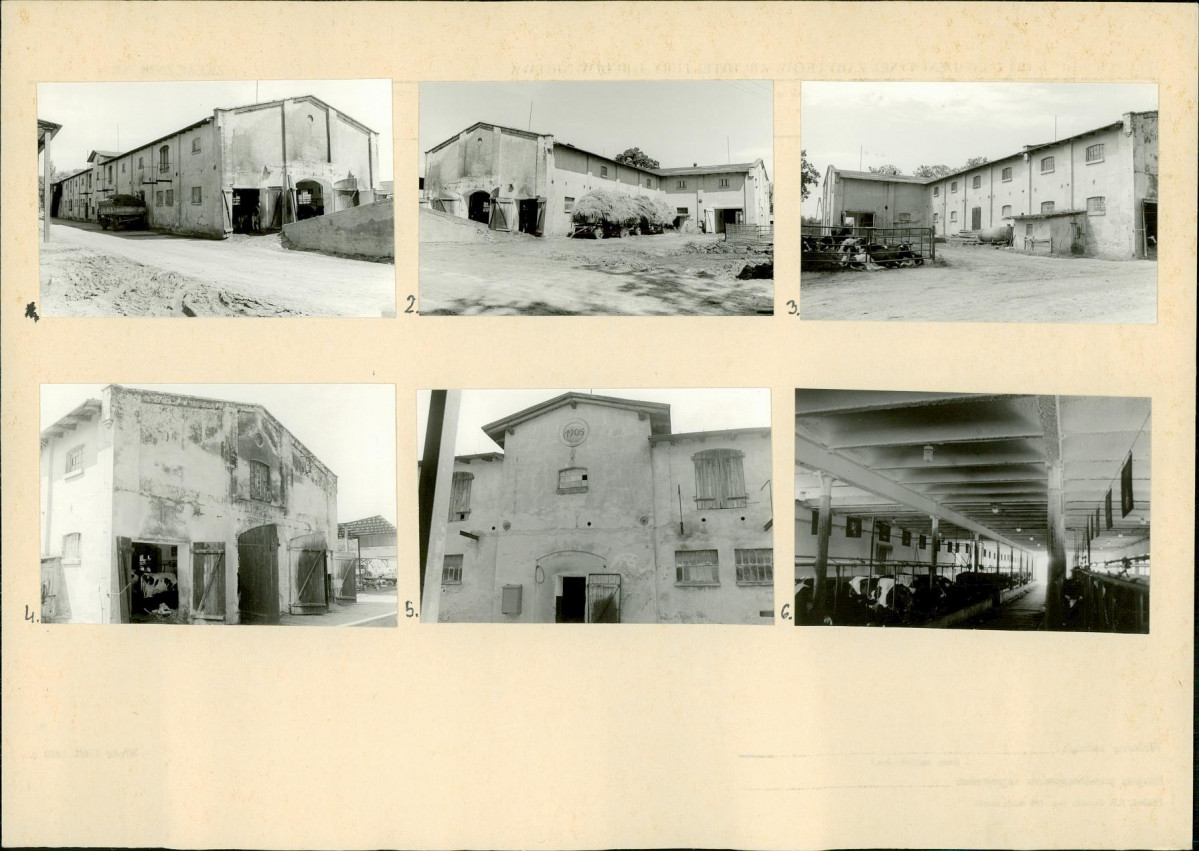 Karta biała, skan nr 11