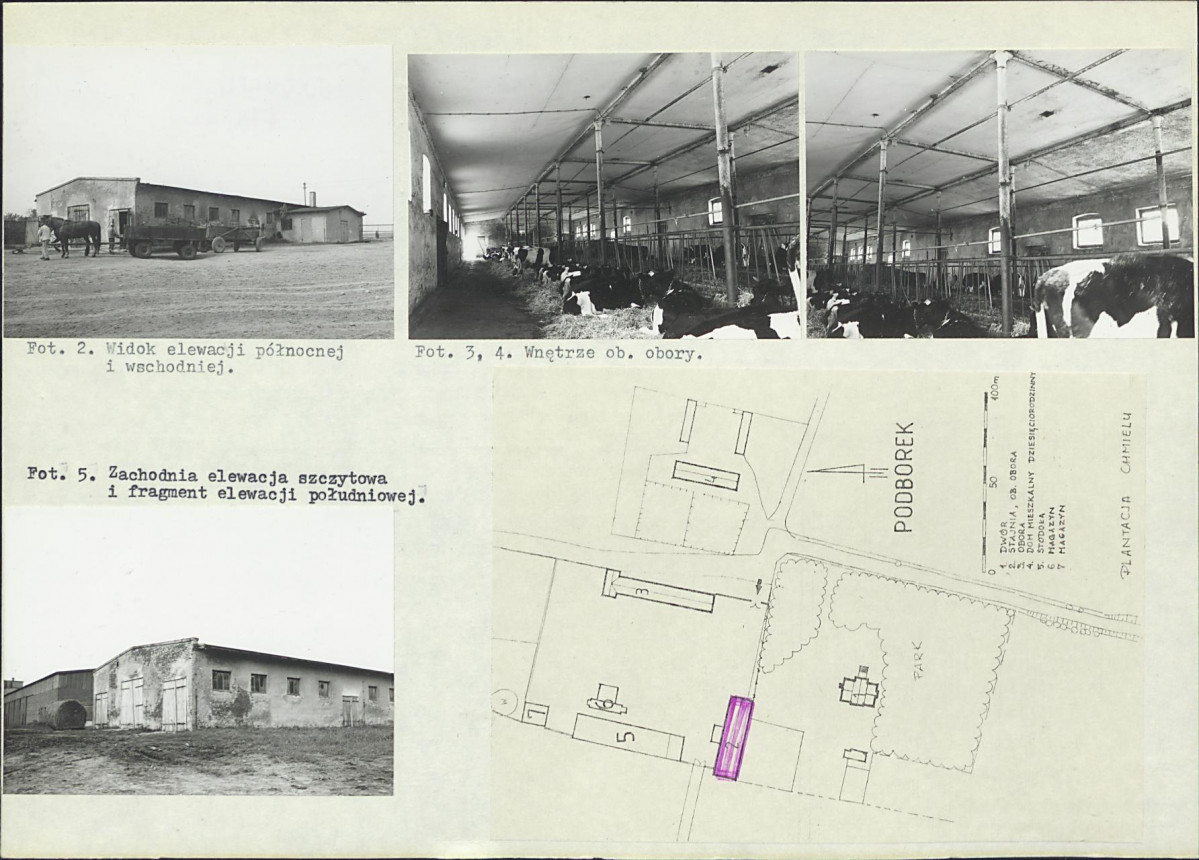 Karta biała, skan nr 6