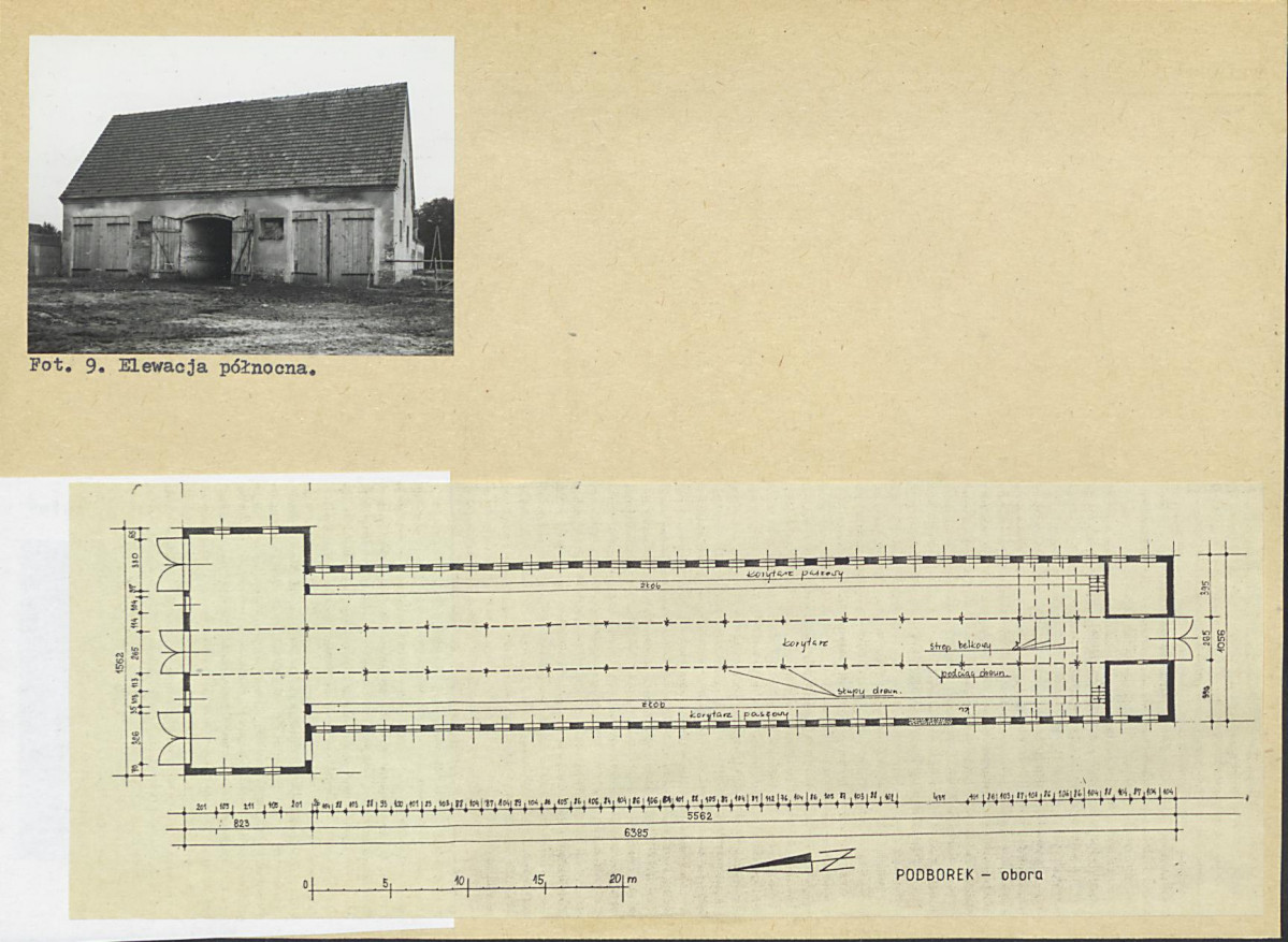 Karta biała, skan nr 8