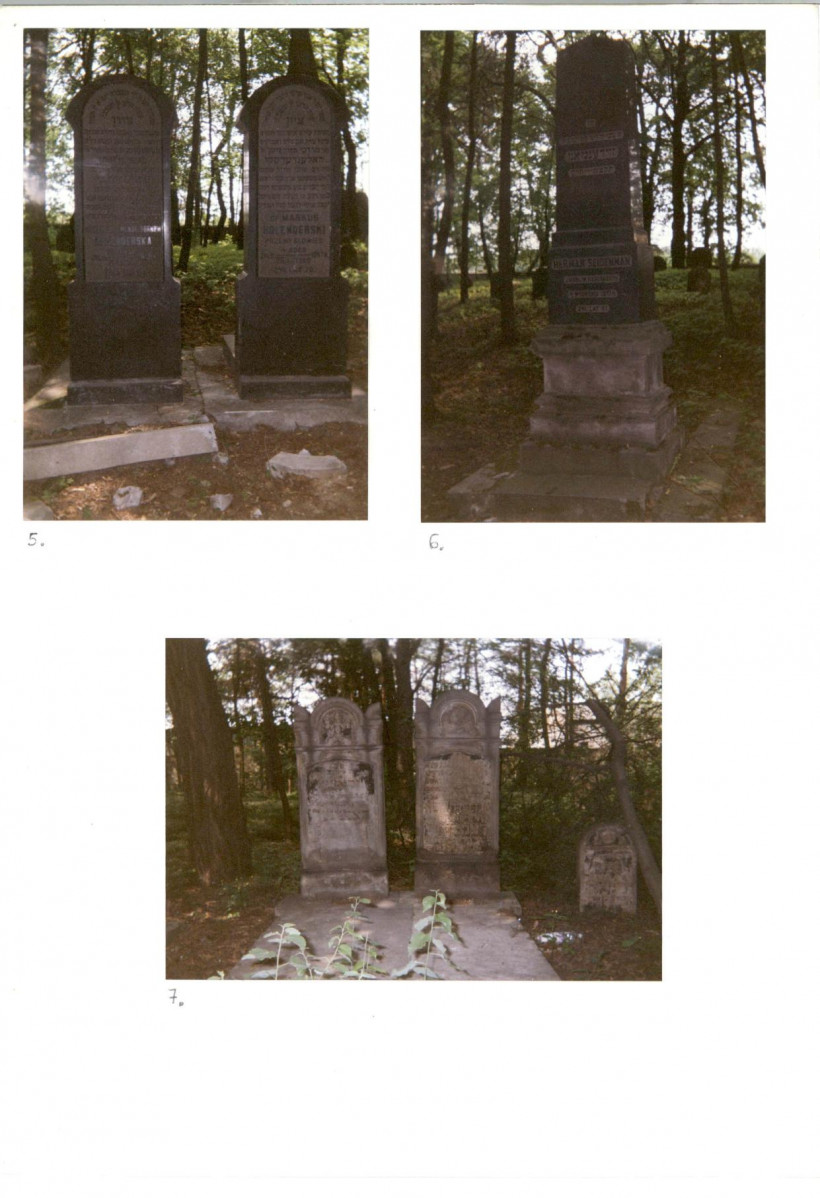 Karta cmentarza, skan nr 6