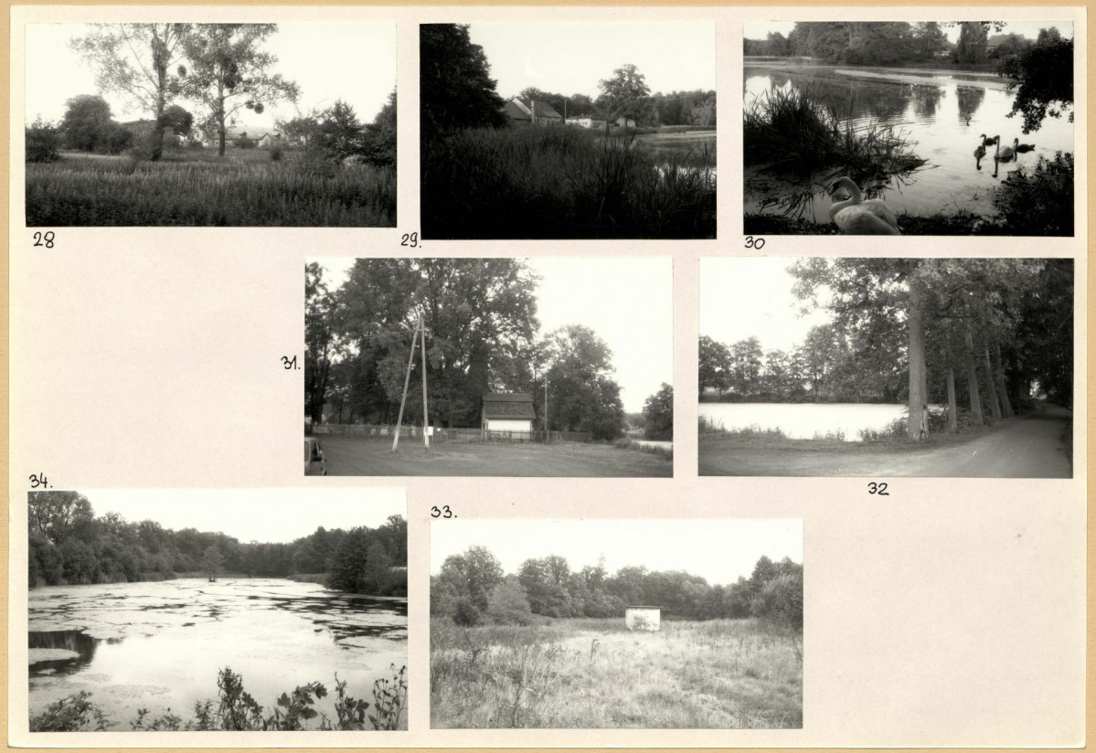 Karta biała, skan nr 12