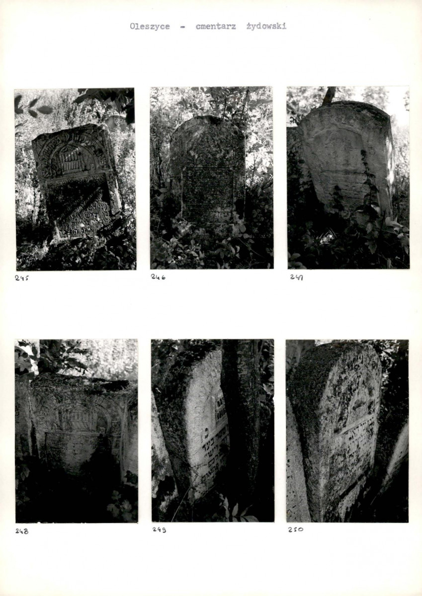 Karta cmentarza, skan nr 46