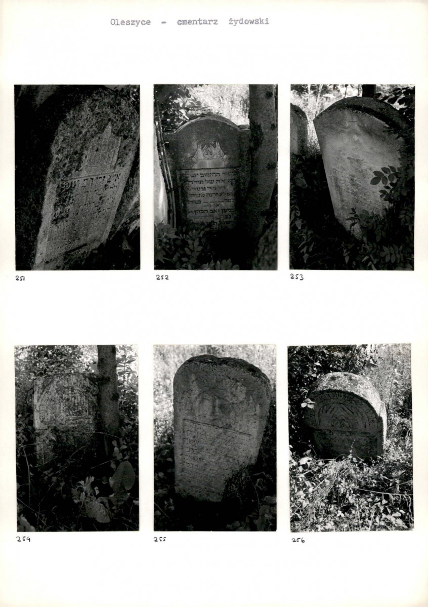 Karta cmentarza, skan nr 47