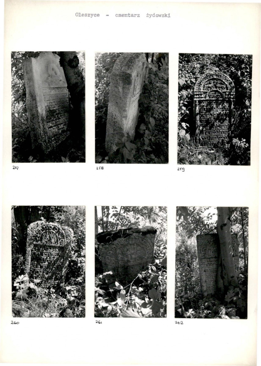 Karta cmentarza, skan nr 48