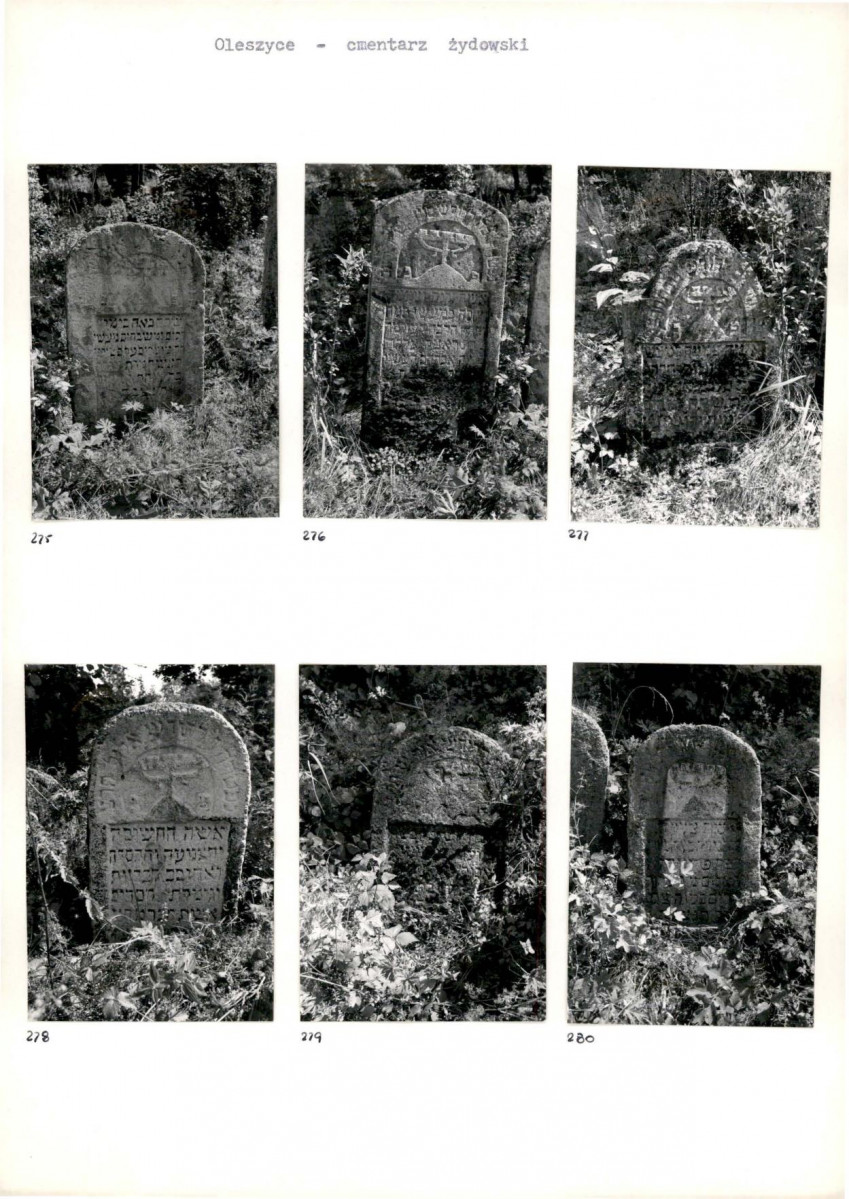 Karta cmentarza, skan nr 51