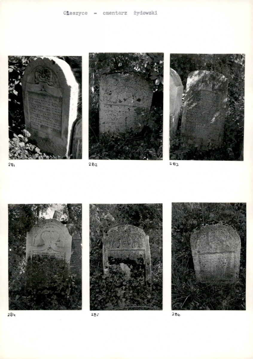 Karta cmentarza, skan nr 52