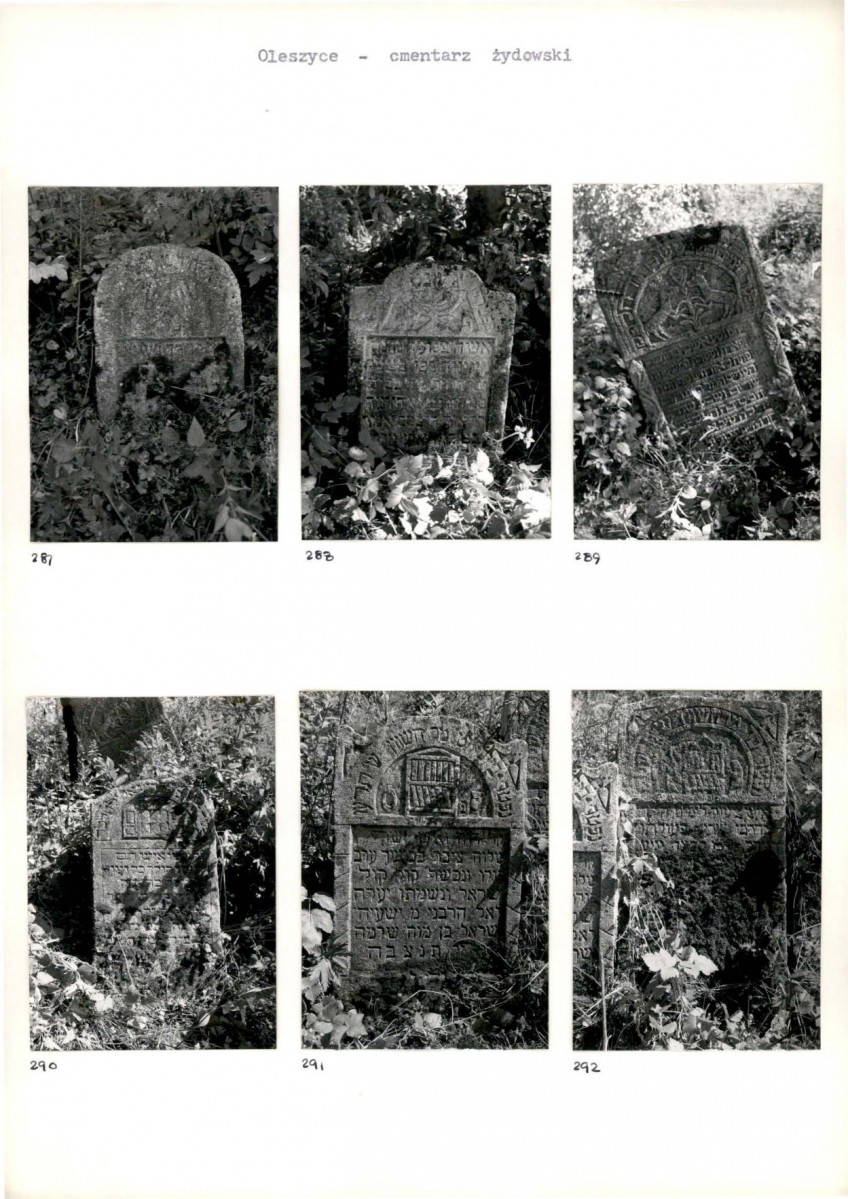 Karta cmentarza, skan nr 53