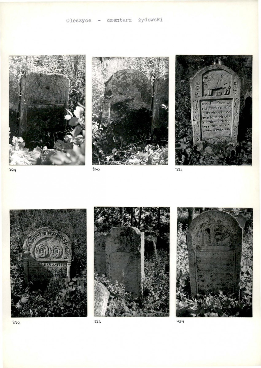 Karta cmentarza, skan nr 60
