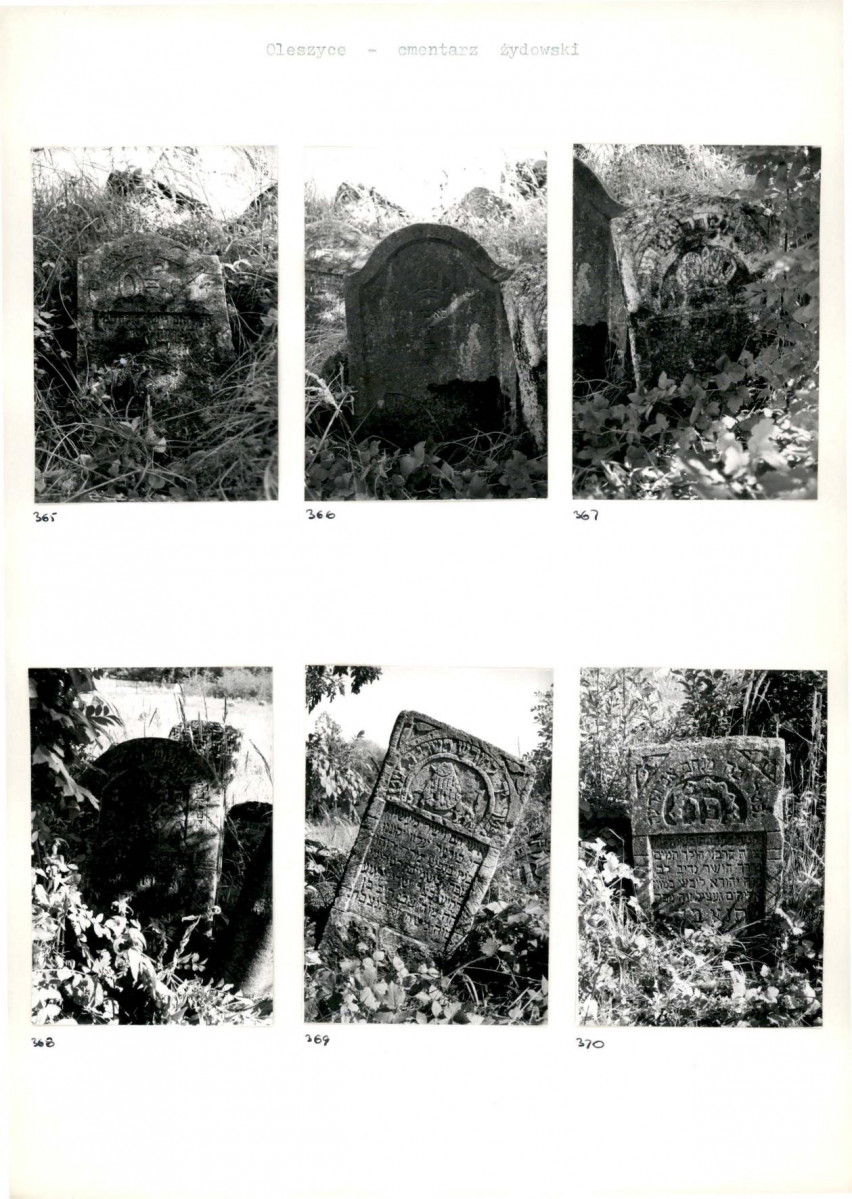 Karta cmentarza, skan nr 66