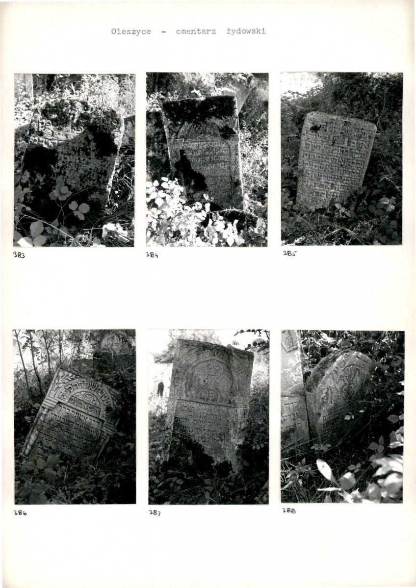 Karta cmentarza, skan nr 69