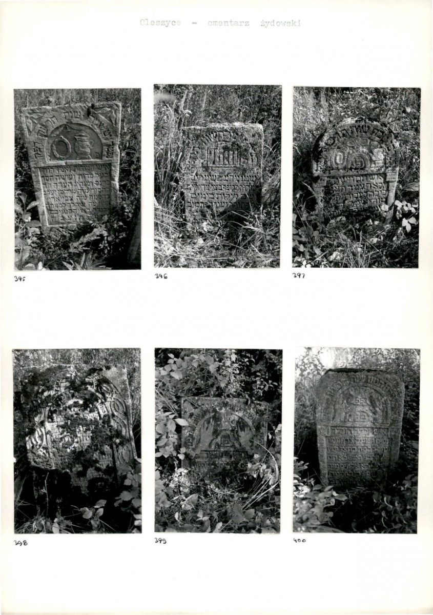 Karta cmentarza, skan nr 71