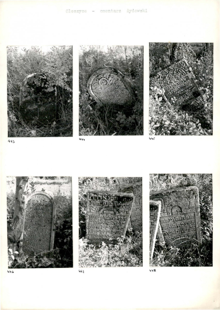 Karta cmentarza, skan nr 79