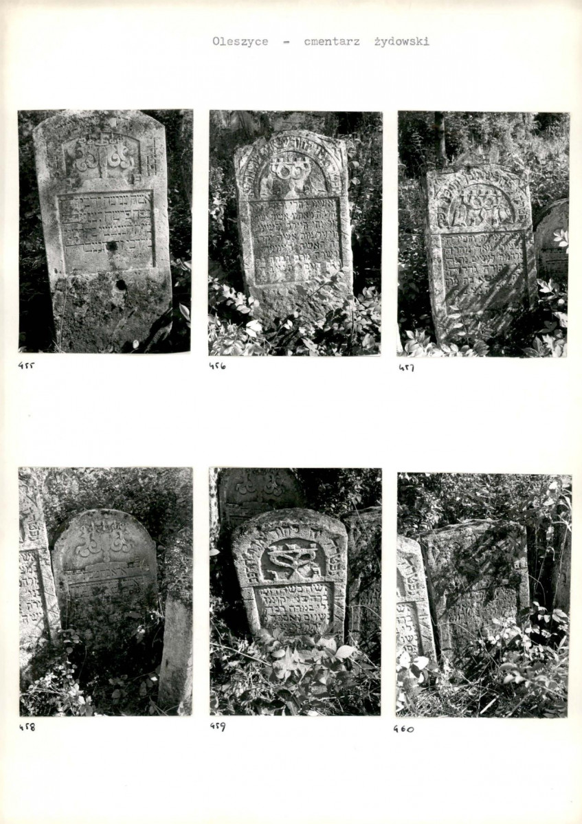 Karta cmentarza, skan nr 81