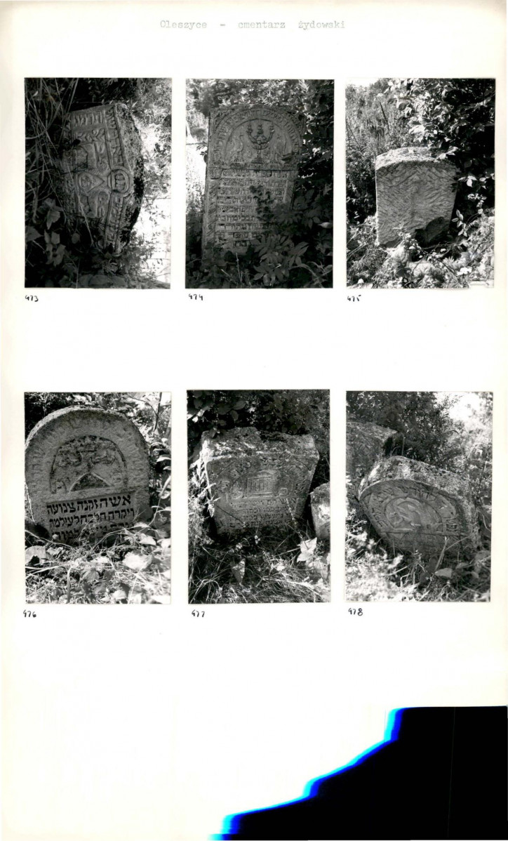 Karta cmentarza, skan nr 84