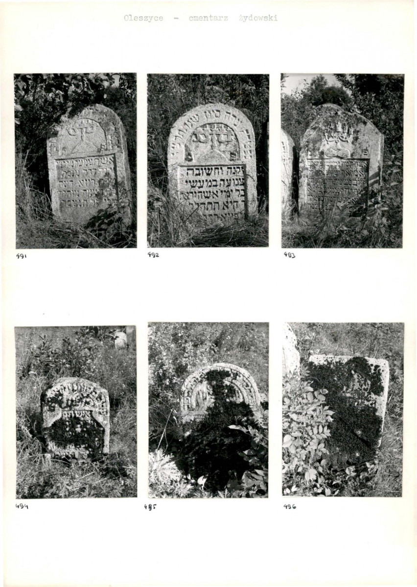 Karta cmentarza, skan nr 87