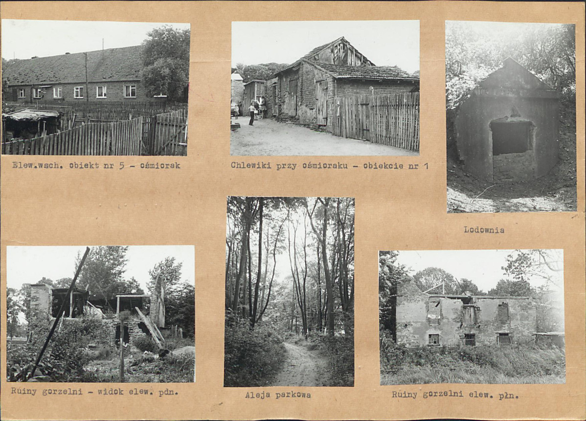 KB - Karta biała, skan nr 8