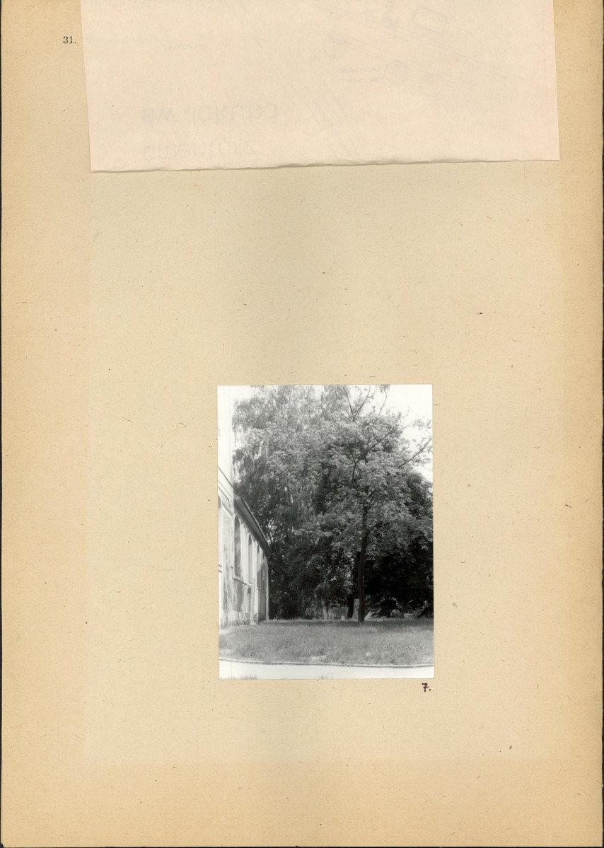 Karta cmentarza, skan nr 5