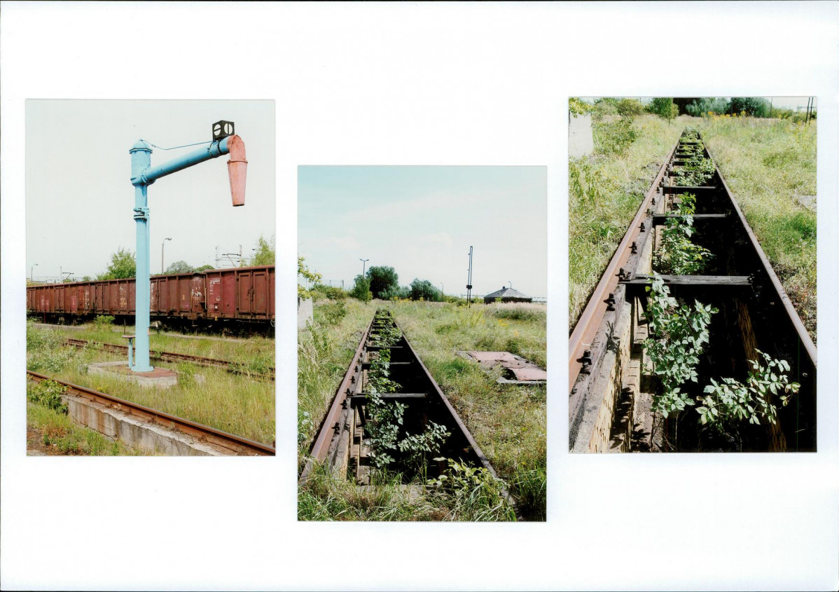 Karta biała, skan nr 20