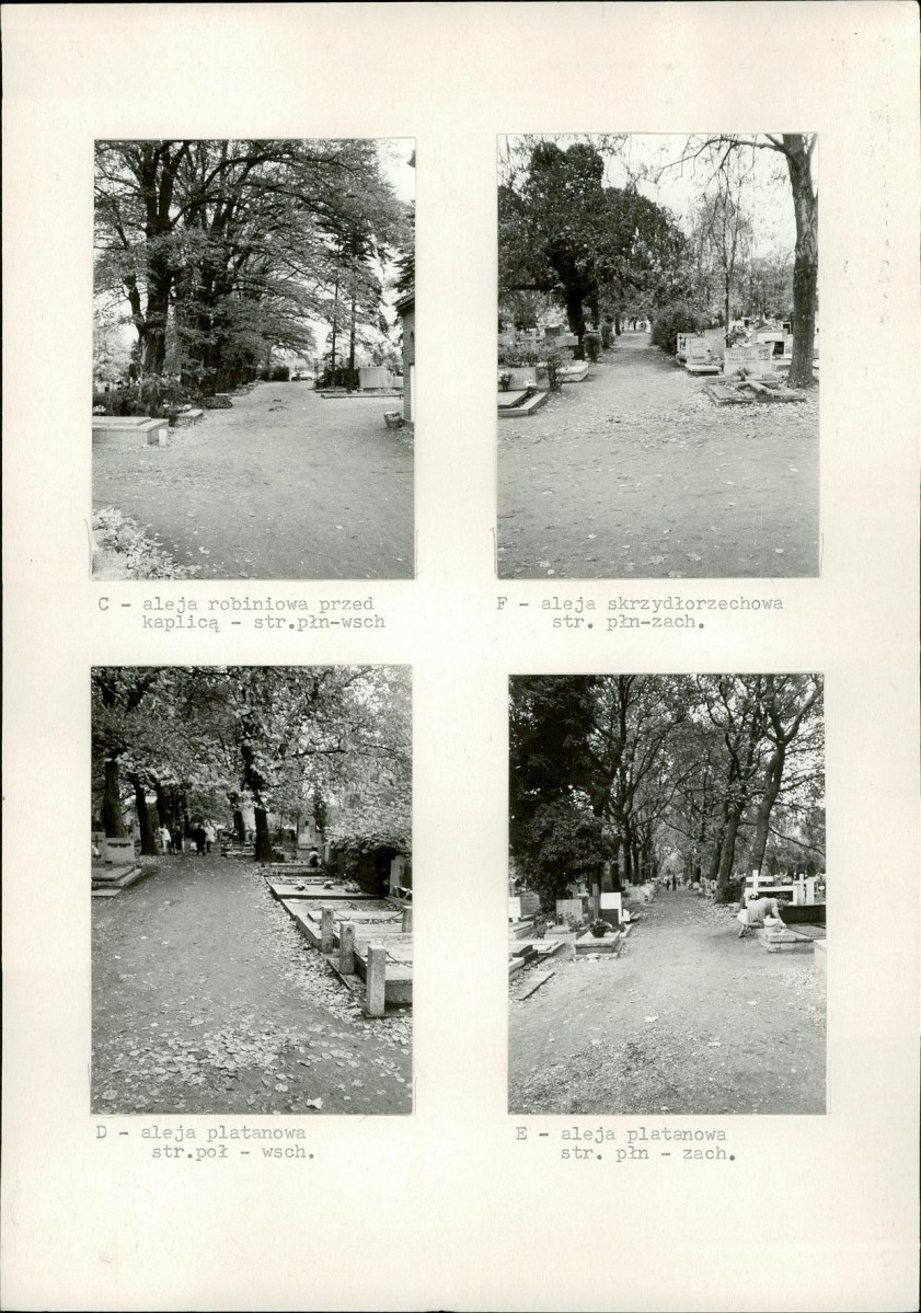 Karta cmentarza, skan nr 10