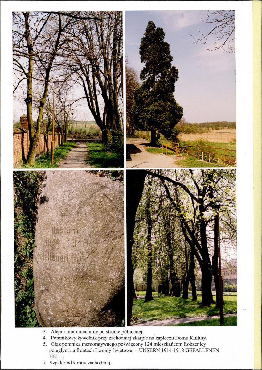 Karta cmentarza, skan nr 5