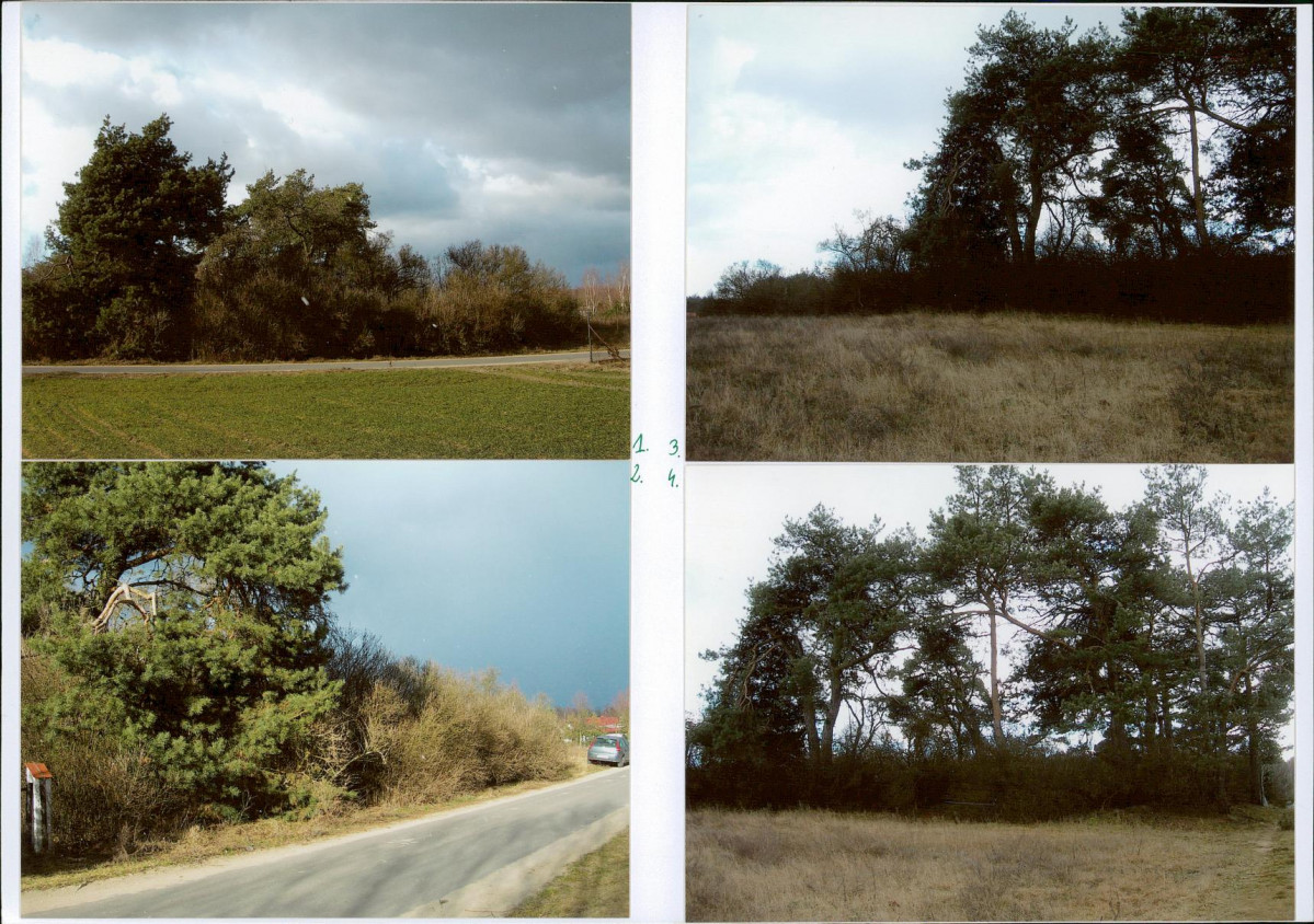 KC - Karta cmentarza, skan nr 5