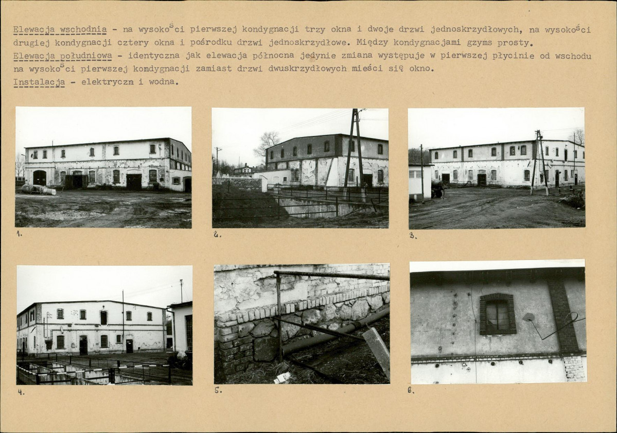Karta biała, skan nr 19