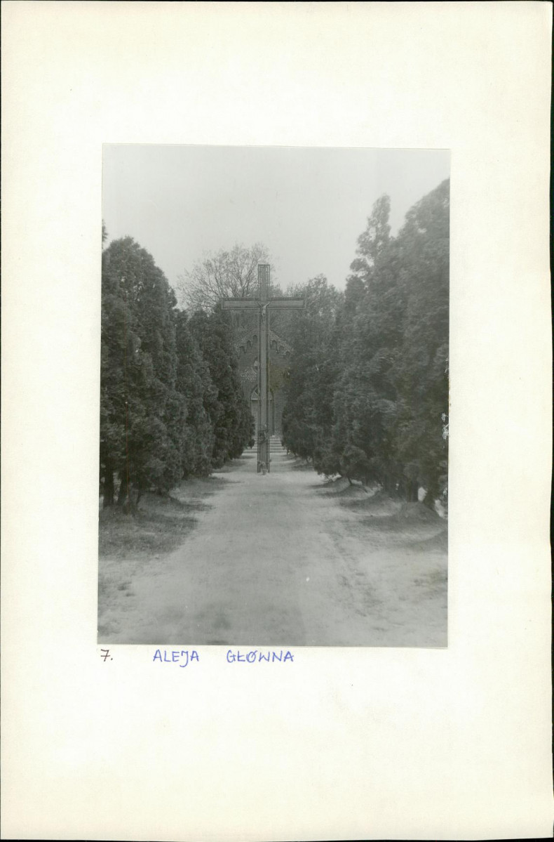 Karta cmentarza, skan nr 7