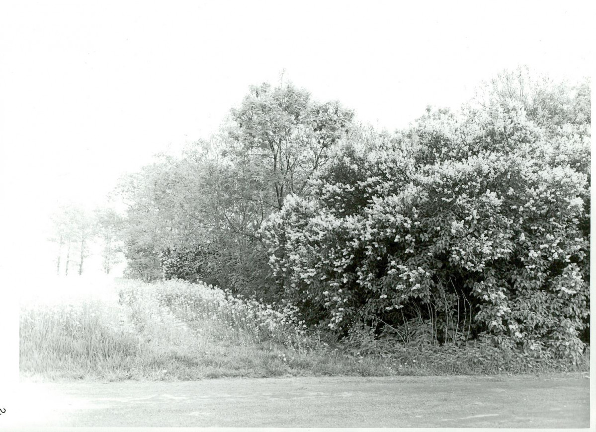 KC - Karta cmentarza, skan nr 9