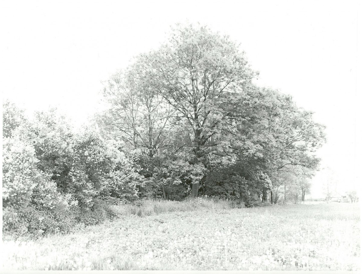 KC - Karta cmentarza, skan nr 10