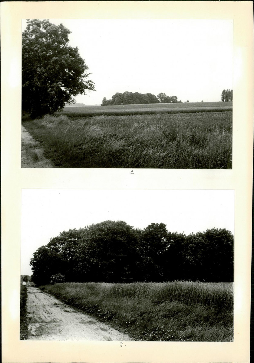 Karta cmentarza, skan nr 4
