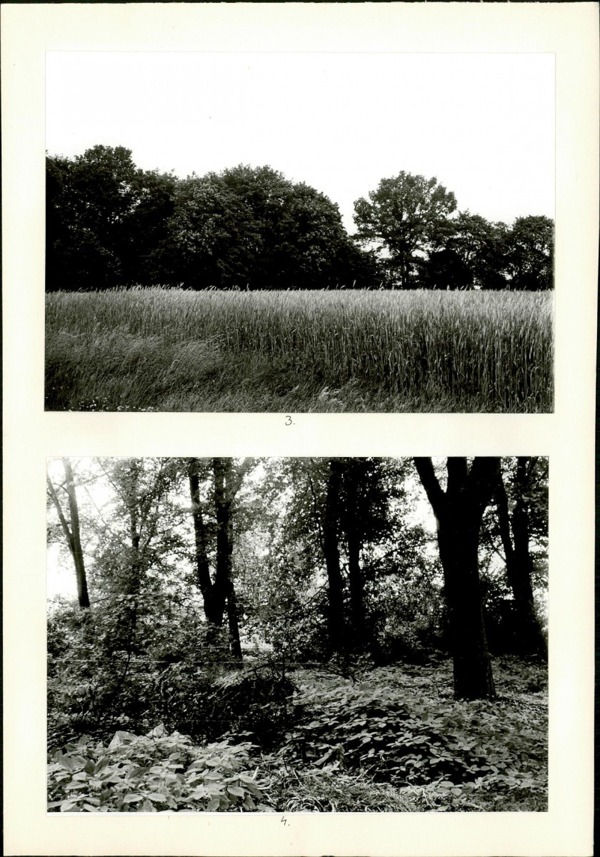 Karta cmentarza, skan nr 5