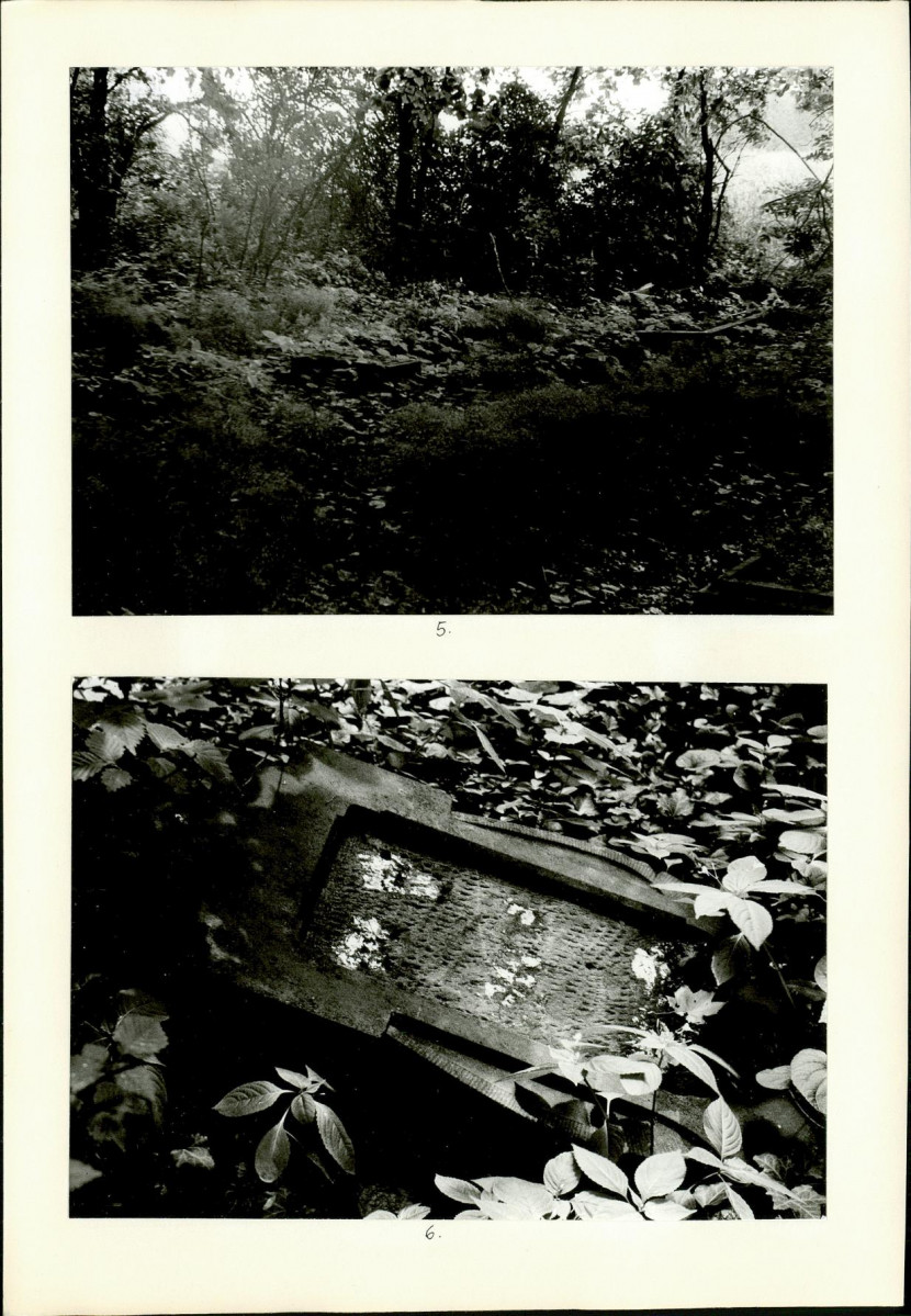 Karta cmentarza, skan nr 6