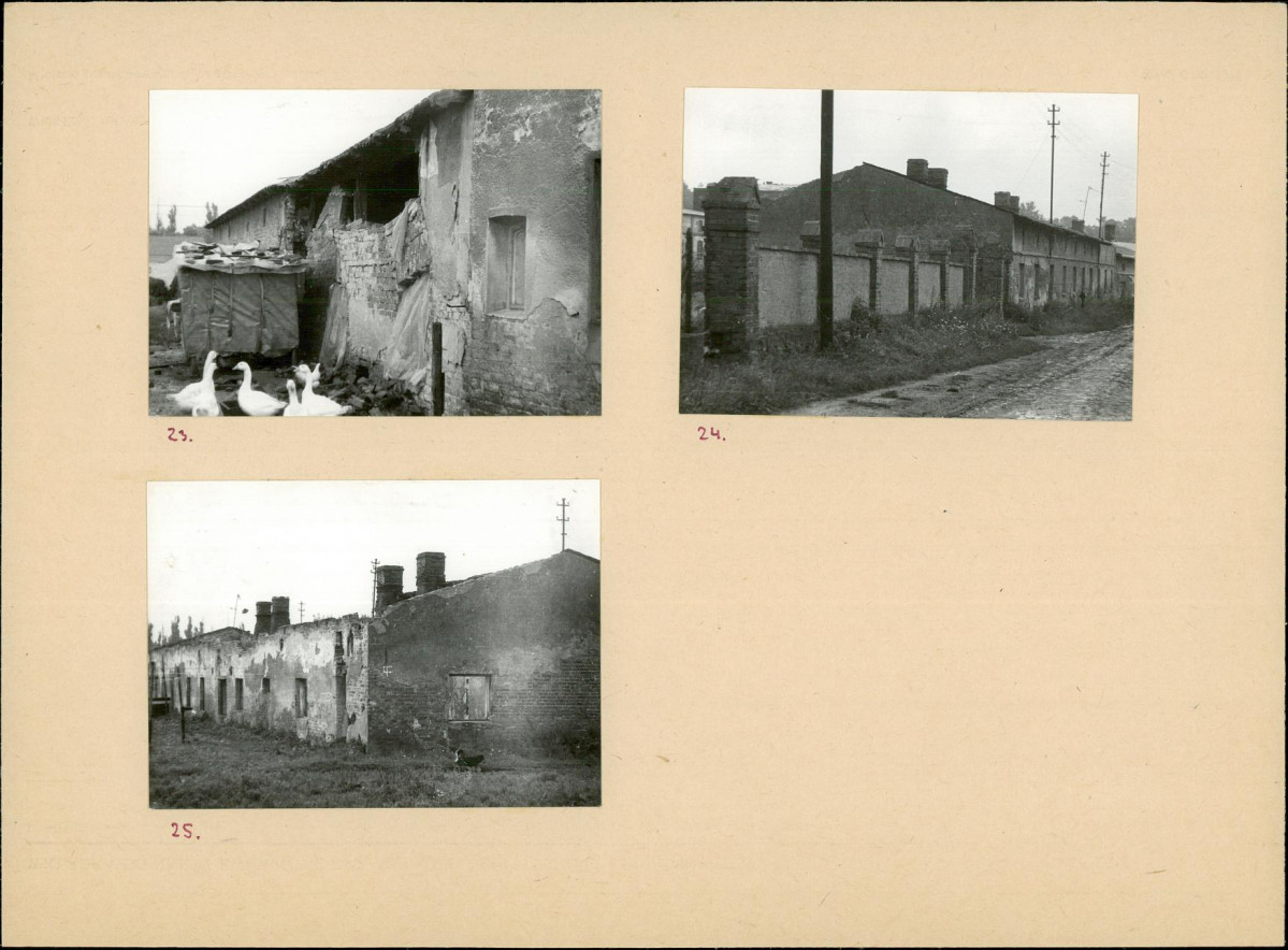 Karta biała, skan nr 12