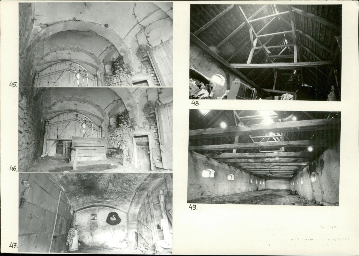 Karta biała, skan nr 19