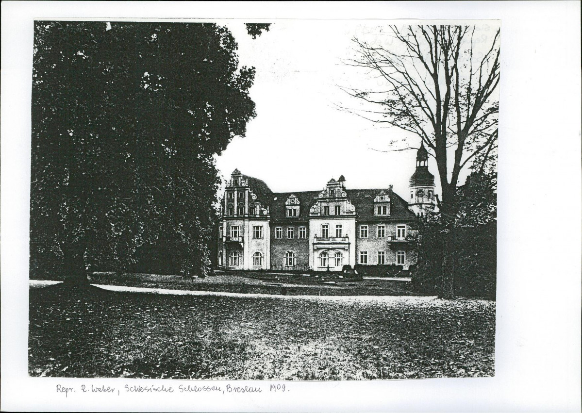 Karta biała, skan nr 6