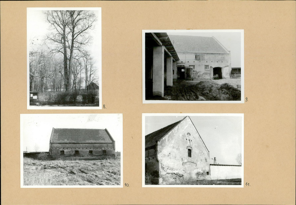 Karta biała, skan nr 10
