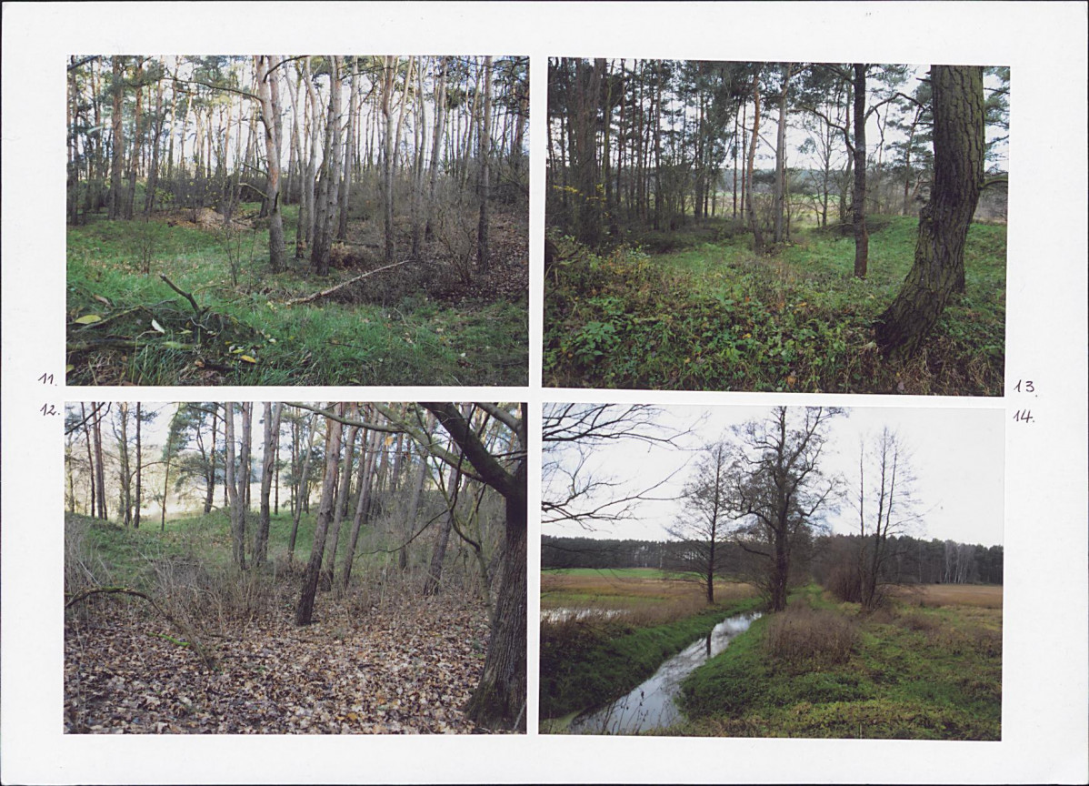 KC - Karta cmentarza, skan nr 8