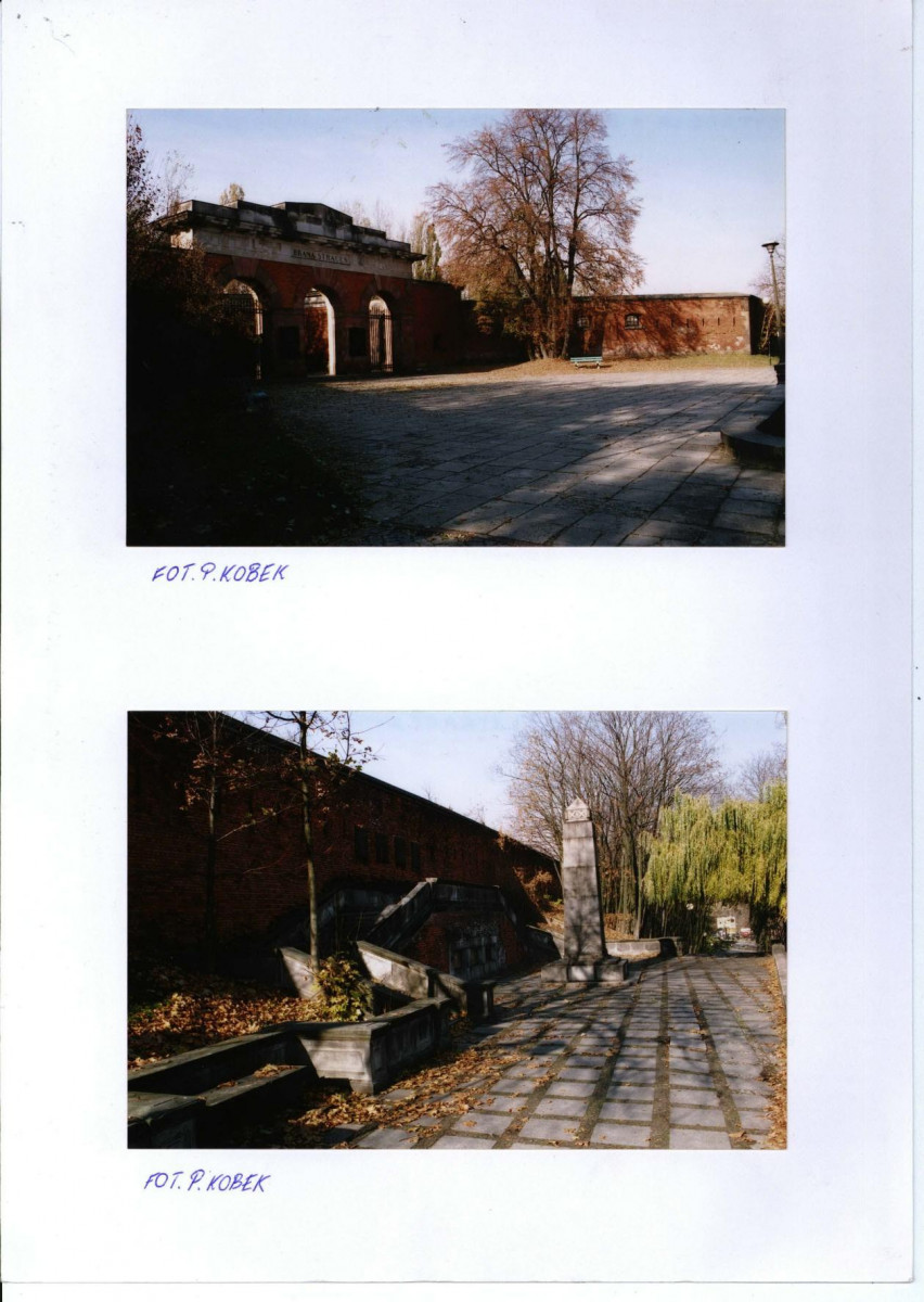 Karta zielona, skan nr 5