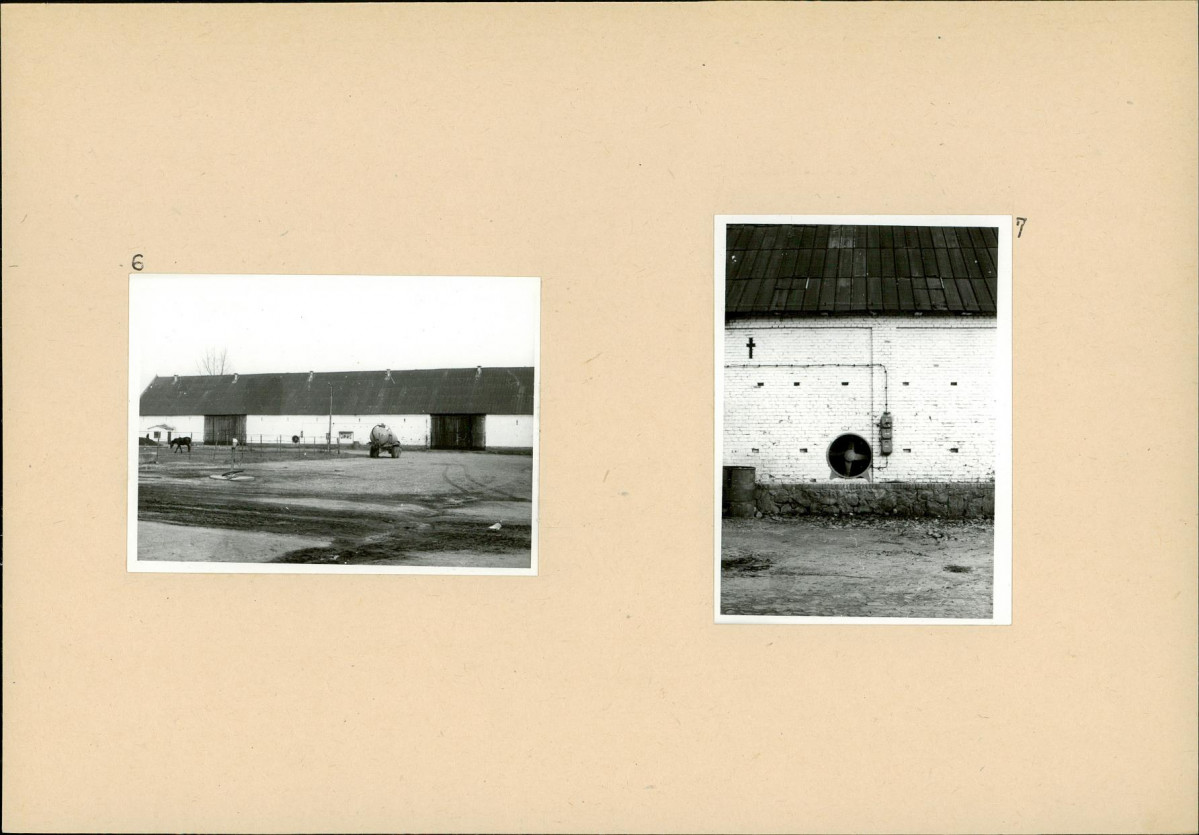 Karta biała, skan nr 8