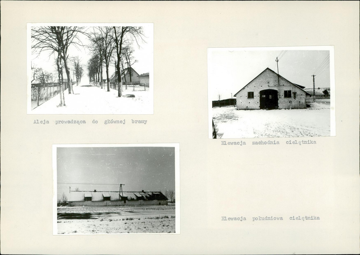 Karta biała, skan nr 7