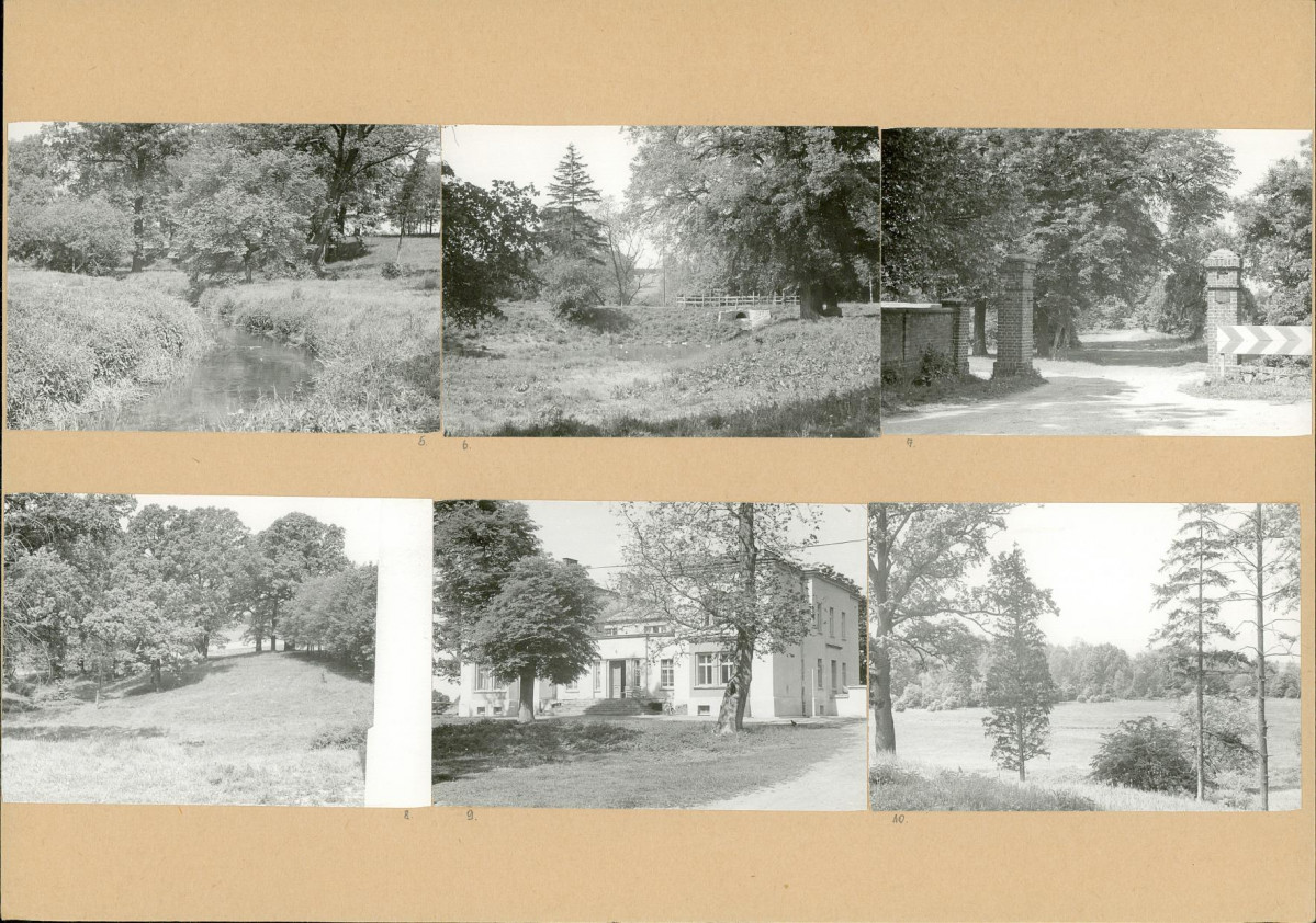 Karta biała, skan nr 6